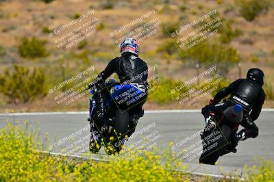 media/May-10-2024-2WTD (Fri) [[c88d7990af]]/Group C/Session 2-The Bowl/